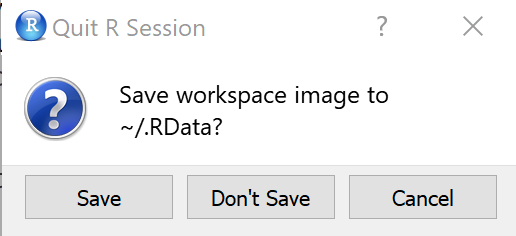RStudio Environment saves variables